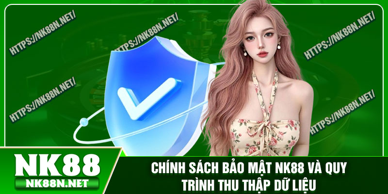 Chính sách bảo mật Nk88 và quy trình thu thập dữ liệu