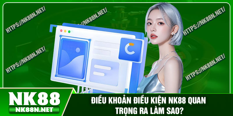 Điều khoản điều kiện Nk88 quan trọng ra làm sao?