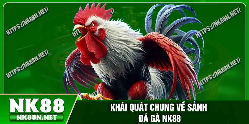 Khái quát chung về sảnh đá gà Nk88
