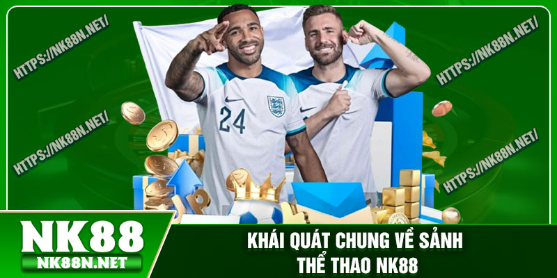 Khái quát chung về sảnh thể thao Nk88